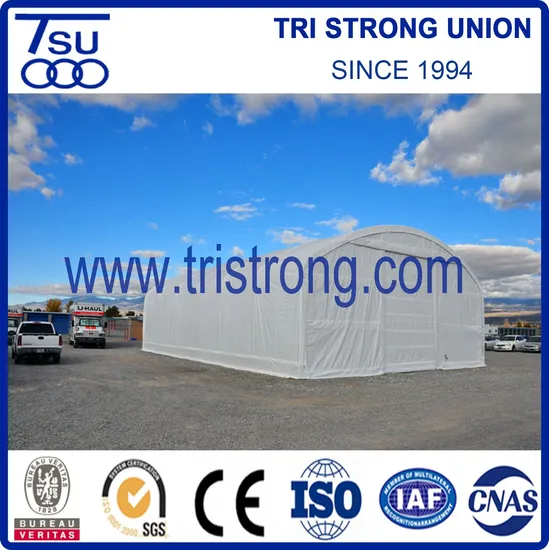2021 Hot Sale Super Strong Storage Shelter with Mechanical Door (TSU